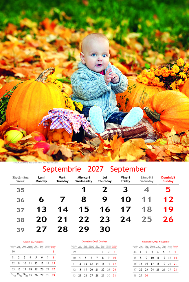 Calendar De Perete Cu Imagini 12 1 File Kids 2027 476
