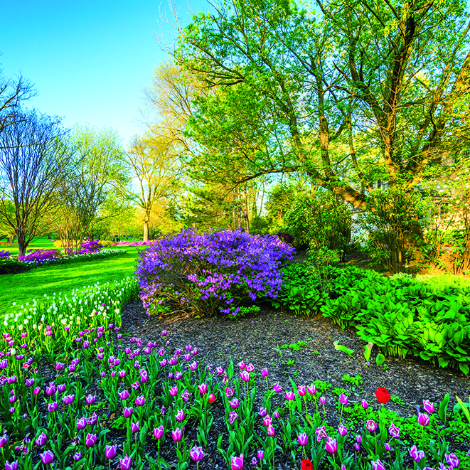 Calendar Gardens Int 006