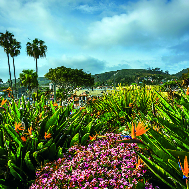 Calendar Gardens Int 009