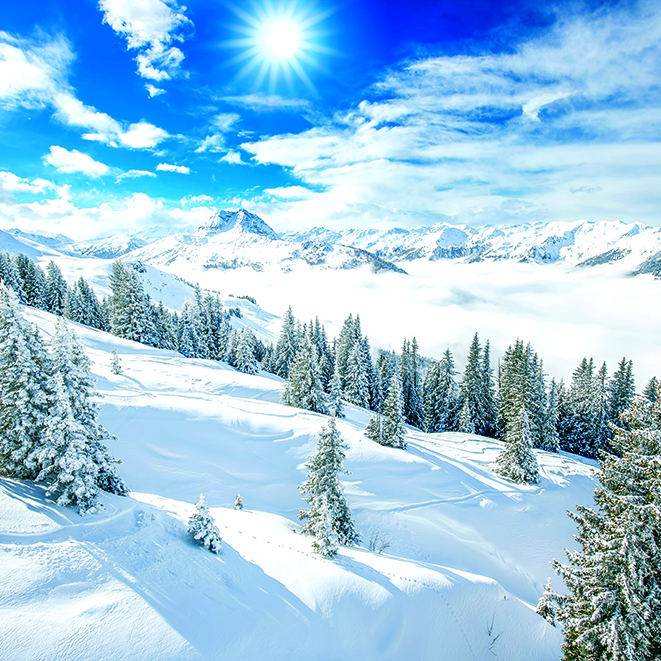 Calendar Landscapes Int 002