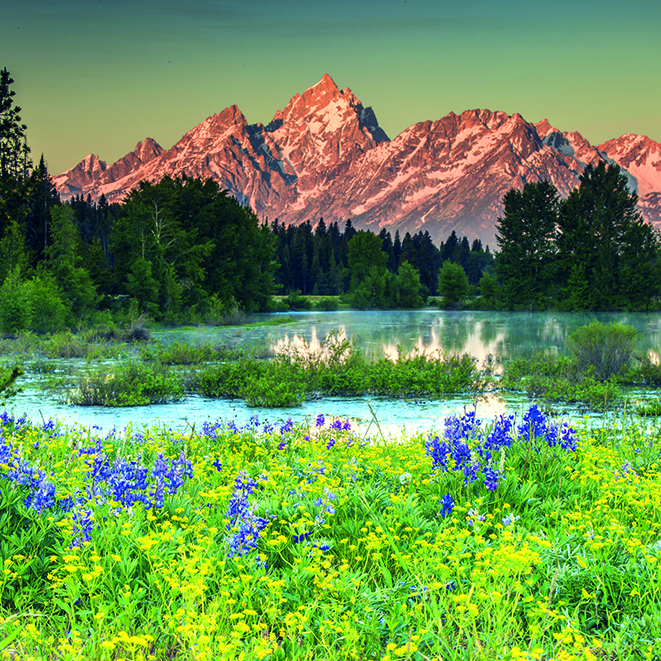 Calendar Landscapes Int 003