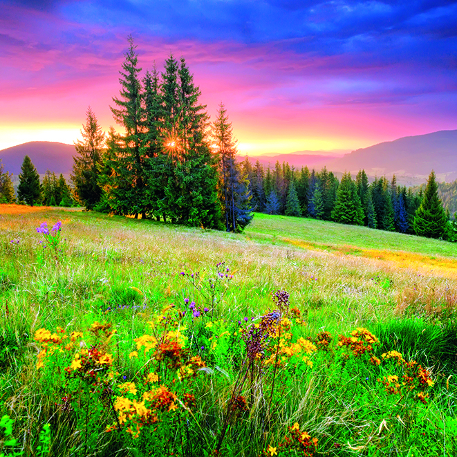 Calendar Landscapes Int 005
