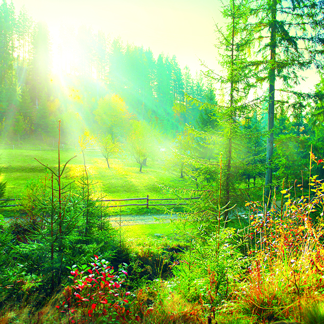 Calendar Landscapes Int 008